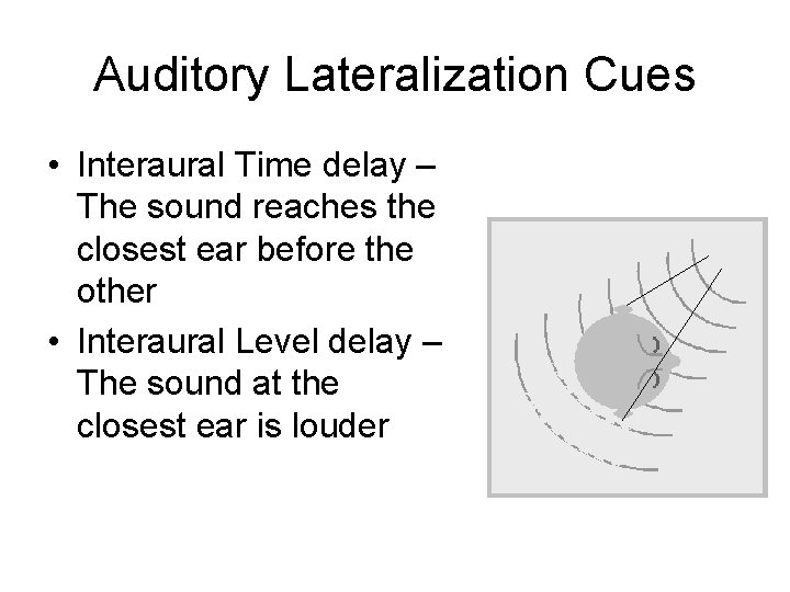 Auditory Lateralization Cues • Interaural Time delay – The sound reaches the closest ear