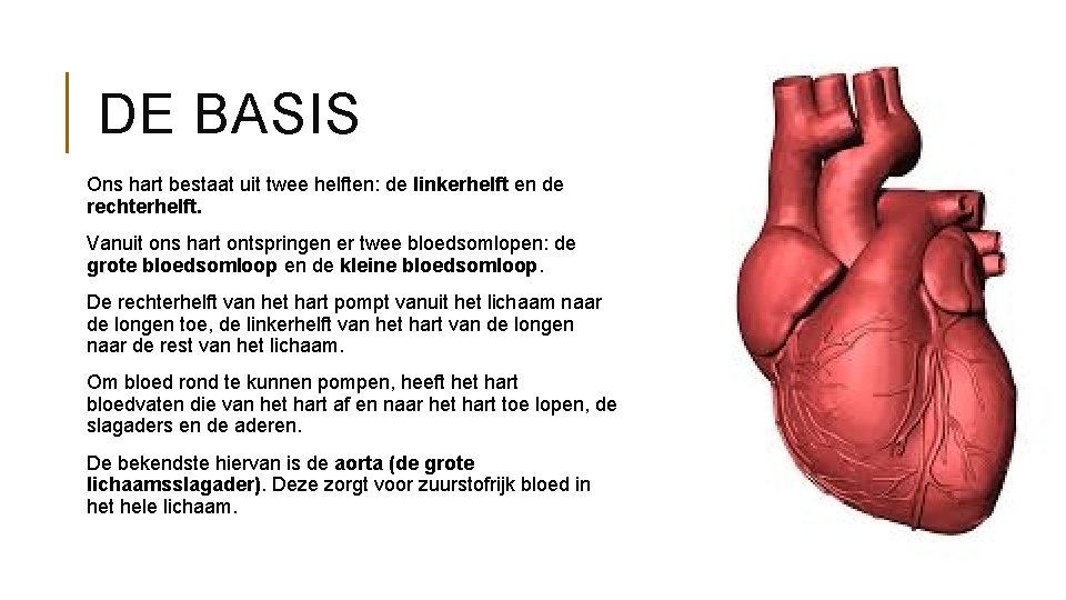 DE BASIS Ons hart bestaat uit twee helften: de linkerhelft en de rechterhelft. Vanuit