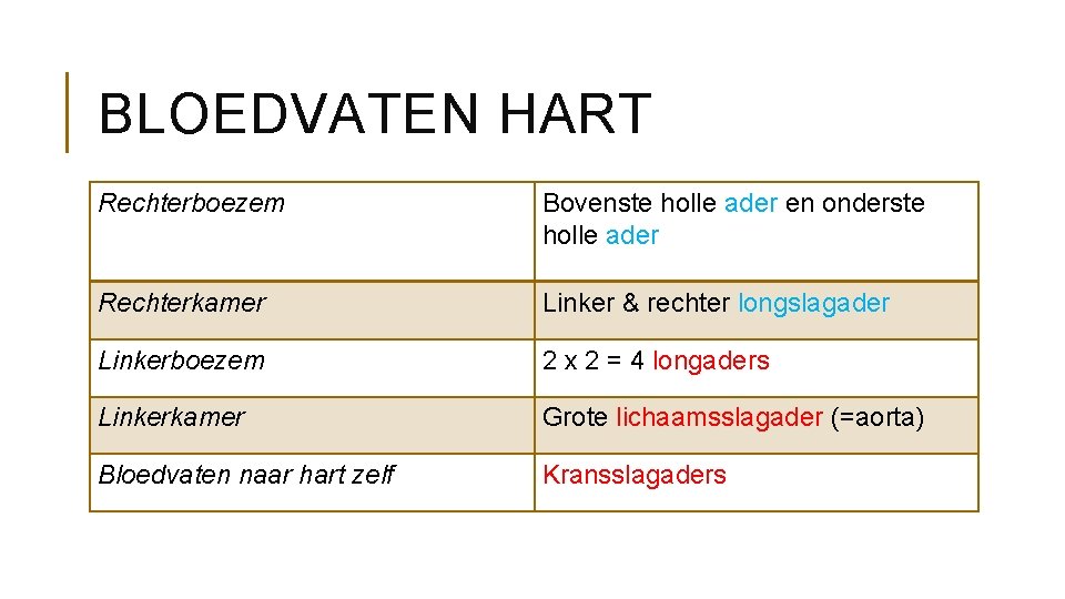 BLOEDVATEN HART Rechterboezem Bovenste holle ader en onderste holle ader Rechterkamer Linker & rechter