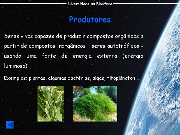 Diversidade na Biosfera Produtores Seres vivos capazes de produzir compostos orgânicos a partir de