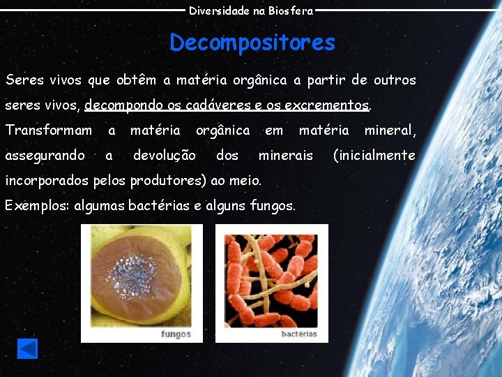 Diversidade na Biosfera Decompositores Seres vivos que obtêm a matéria orgânica a partir de
