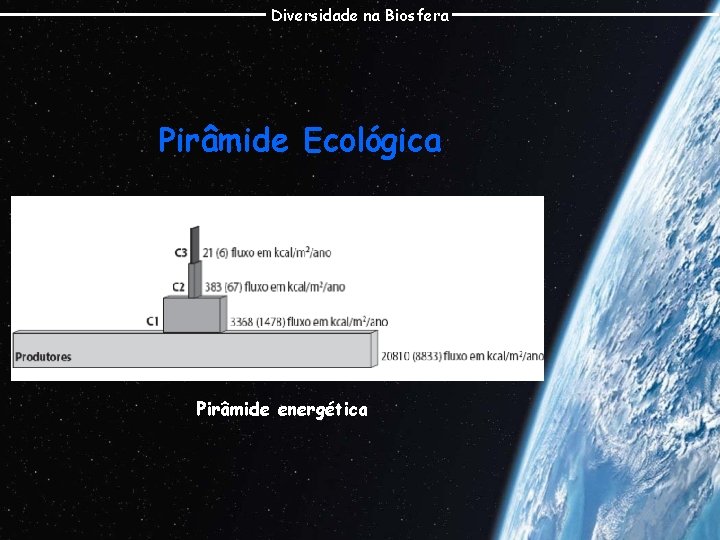 Diversidade na Biosfera Pirâmide Ecológica Pirâmide energética 