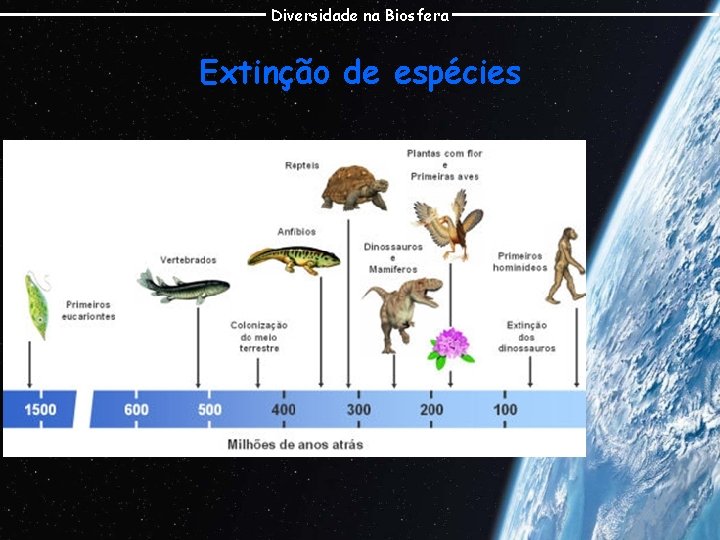 Diversidade na Biosfera Extinção de espécies 