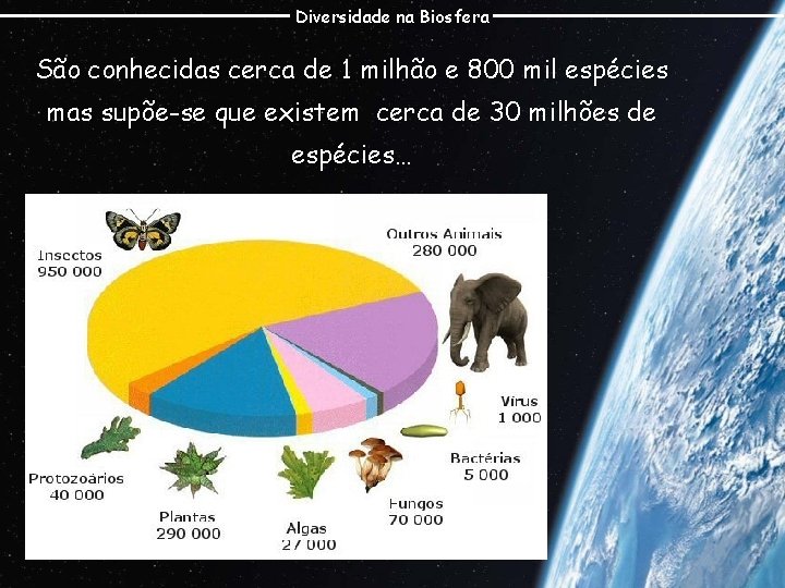 Diversidade na Biosfera São conhecidas cerca de 1 milhão e 800 mil espécies mas