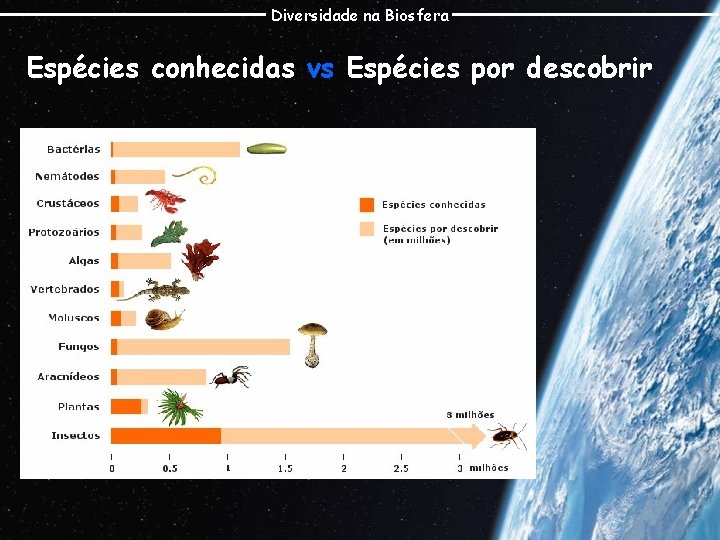 Diversidade na Biosfera Espécies conhecidas vs Espécies por descobrir 