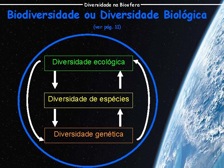Diversidade na Biosfera Biodiversidade ou Diversidade Biológica (ver pág. 11) Diversidade ecológica Diversidade de