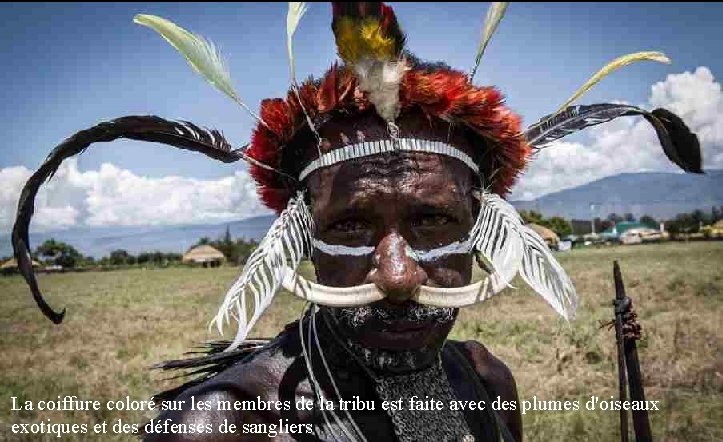 La coiffure coloré sur les membres de la tribu est faite avec des plumes