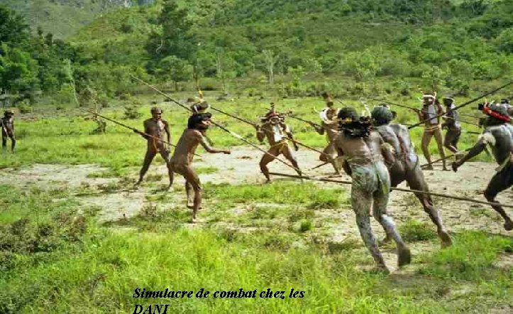 Simulacre de combat chez les 