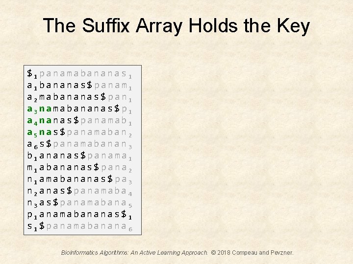 The Suffix Array Holds the Key $1 panamabananas 1 a 1 bananas$panam 1 a