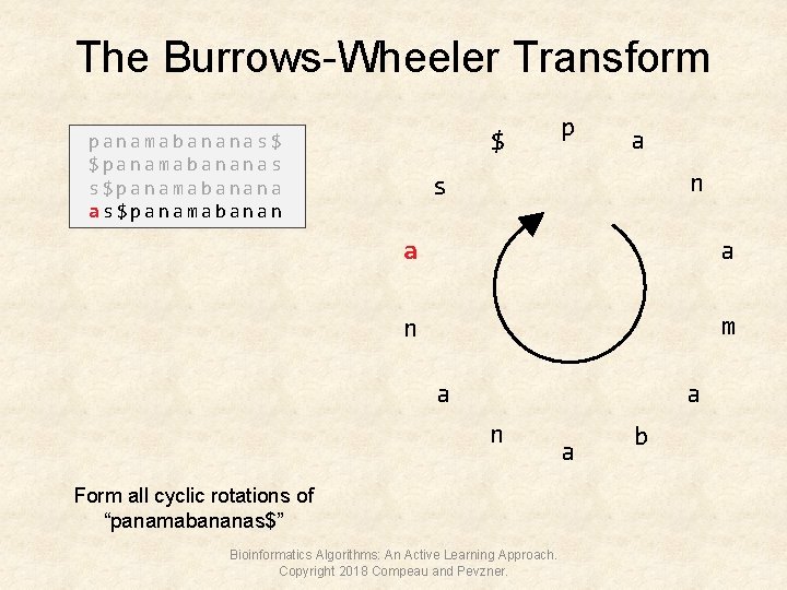 The Burrows-Wheeler Transform $ panamabananas$ $panamabananas s$panamabanana as$panamabanan p a n s a a