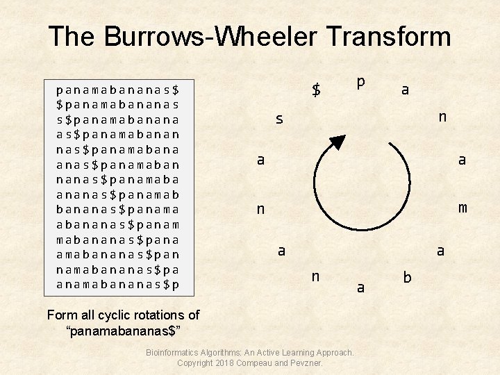 The Burrows-Wheeler Transform panamabananas$ $panamabananas s$panamabanana as$panamabanan nas$panamabana anas$panamaban nanas$panamaba ananas$panamab bananas$panama abananas$panam mabananas$pana