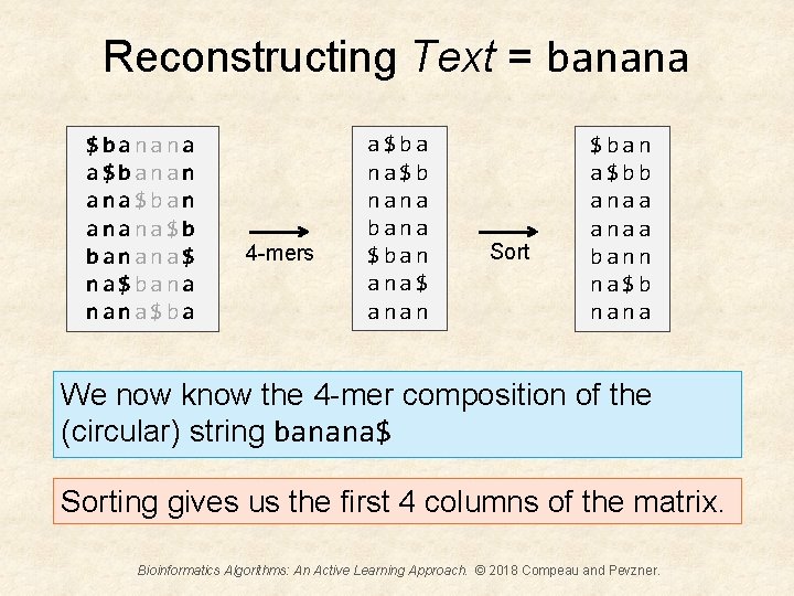Reconstructing Text = banana $banana a$banan ana$ban anana$b banana$ na$bana nana$ba 4 -mers a$ba