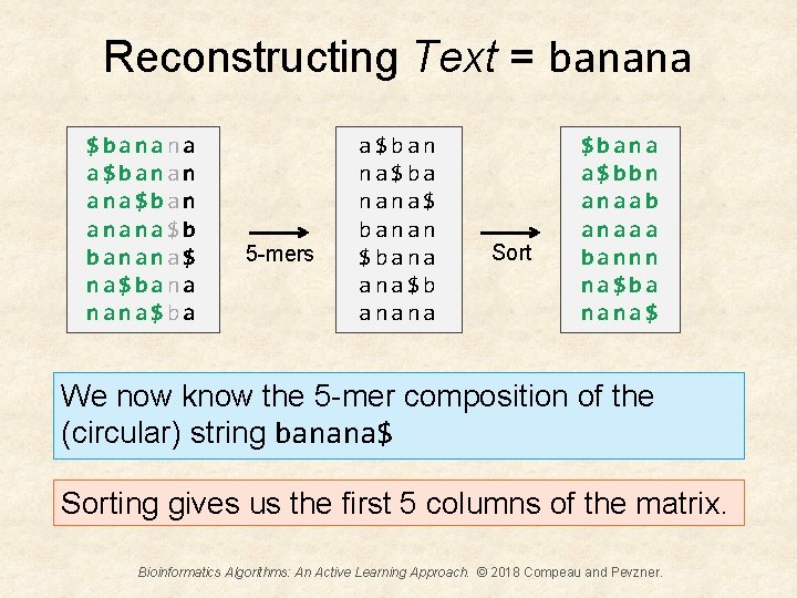 Reconstructing Text = banana $banana a$banan ana$ban anana$b banana$ na$bana nana$ba 5 -mers a$ban