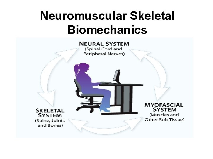 Neuromuscular Skeletal Biomechanics 