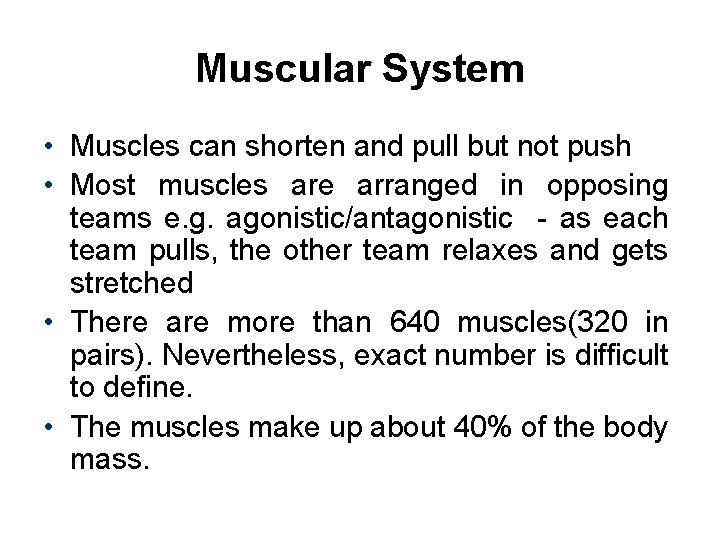 Muscular System • Muscles can shorten and pull but not push • Most muscles