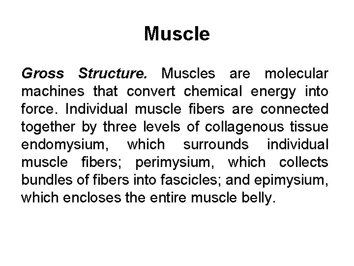 Muscle Gross Structure. Muscles are molecular machines that convert chemical energy into force. Individual