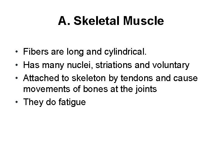 A. Skeletal Muscle • Fibers are long and cylindrical. • Has many nuclei, striations