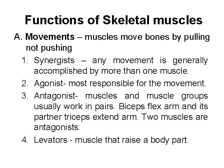 Functions of Skeletal muscles A. Movements – muscles move bones by pulling not pushing