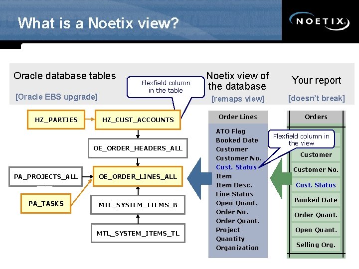 What is a Noetix view? Oracle database tables [Oracle EBS upgrade] HZ_PARTIES Flexfield column