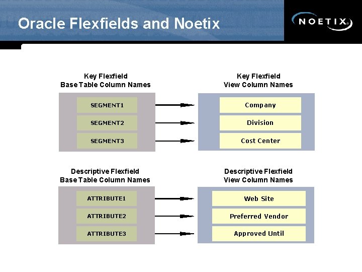 Oracle Flexfields and Noetix Key Flexfield Base Table Column Names Key Flexfield View Column