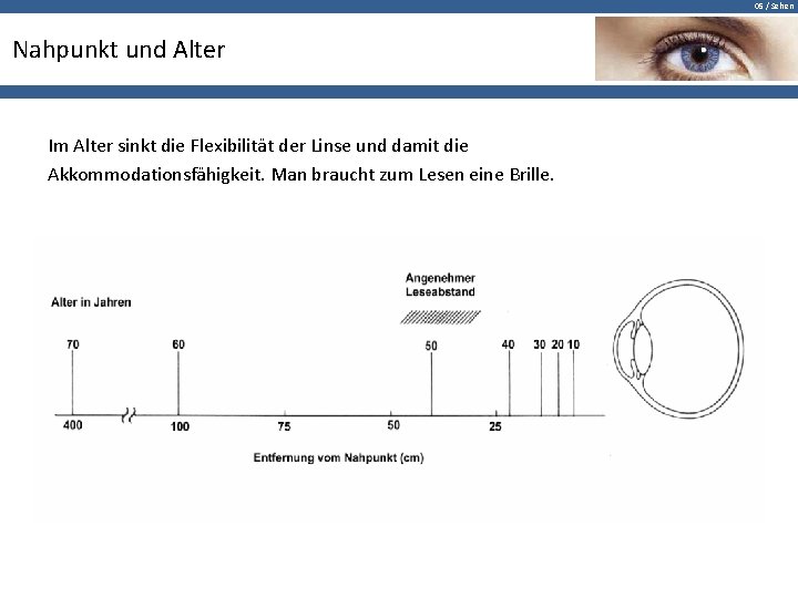 05 / Sehen Nahpunkt und Alter Im Alter sinkt die Flexibilität der Linse und