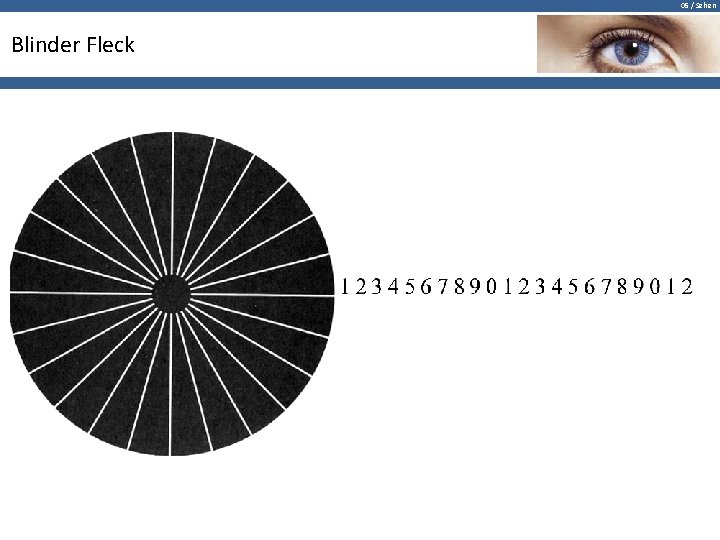 05 / Sehen Blinder Fleck 