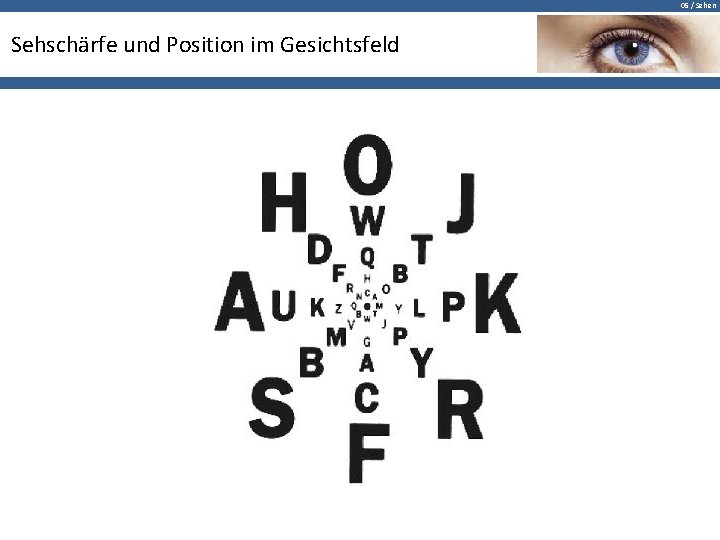 05 / Sehen Sehschärfe und Position im Gesichtsfeld 