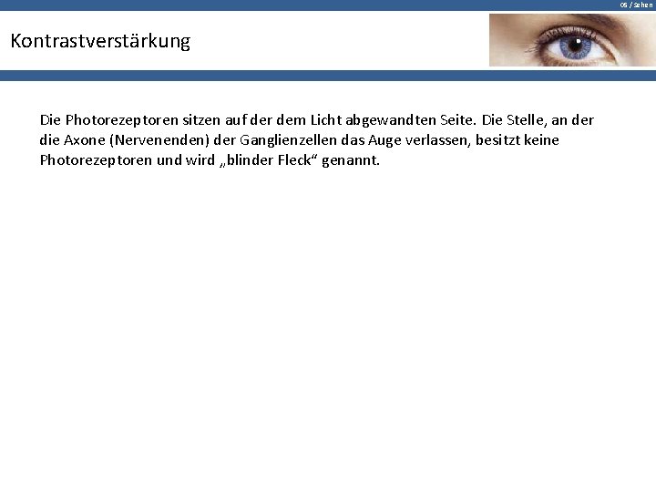 05 / Sehen Kontrastverstärkung Die Photorezeptoren sitzen auf der dem Licht abgewandten Seite. Die