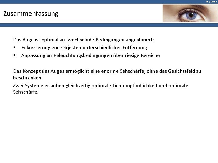 05 / Sehen Zusammenfassung Das Auge ist optimal auf wechselnde Bedingungen abgestimmt: § Fokussierung