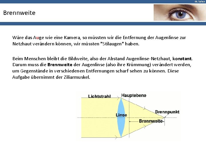 05 / Sehen Brennweite Wäre das Auge wie eine Kamera, so müssten wir die