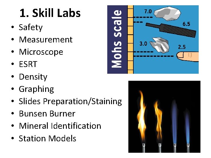 1. Skill Labs • • • Safety Measurement Microscope ESRT Density Graphing Slides Preparation/Staining