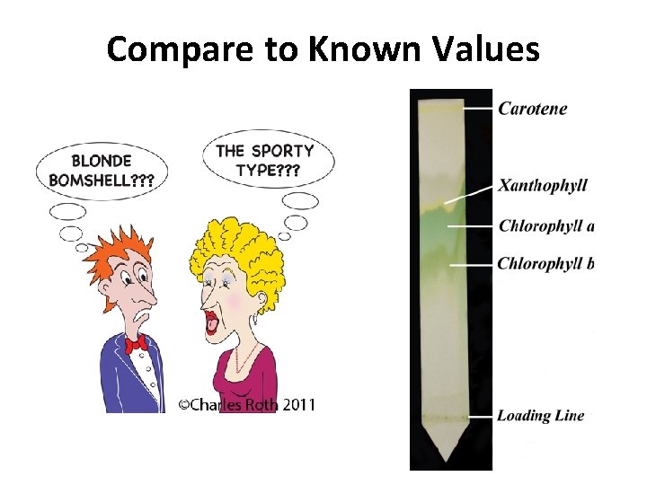 Compare to Known Values 