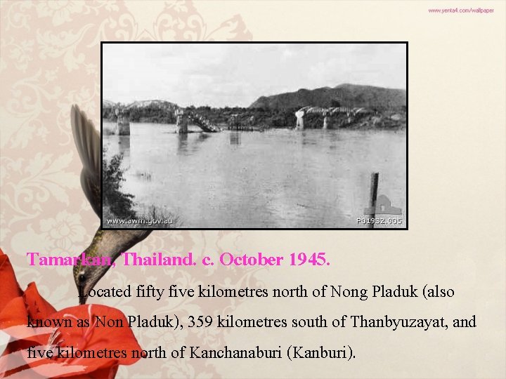 Tamarkan, Thailand. c. October 1945. Located fifty five kilometres north of Nong Pladuk (also
