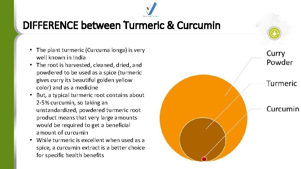 DIFFERENCE between Turmeric & Curcumin • The plant turmeric (Curcuma longa) is very well