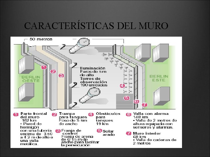CARACTERÍSTICAS DEL MURO 