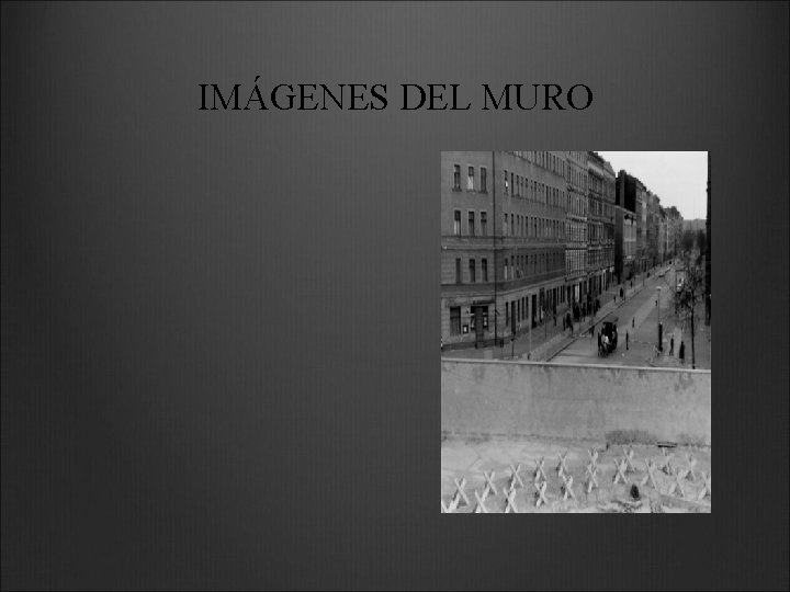 IMÁGENES DEL MURO 