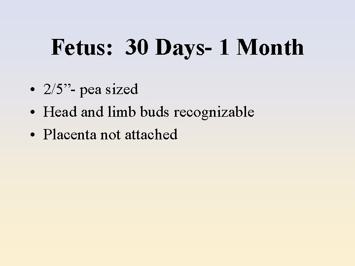 Fetus: 30 Days- 1 Month • 2/5”- pea sized • Head and limb buds