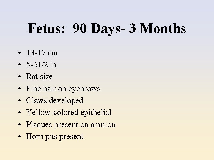 Fetus: 90 Days- 3 Months • • 13 -17 cm 5 -61/2 in Rat