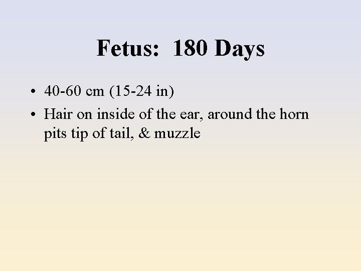 Fetus: 180 Days • 40 -60 cm (15 -24 in) • Hair on inside