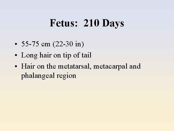 Fetus: 210 Days • 55 -75 cm (22 -30 in) • Long hair on