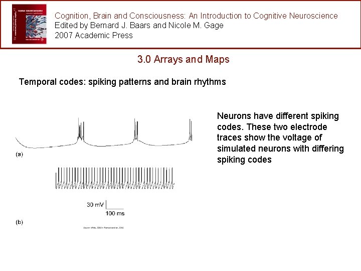 Cognition, Brain and Consciousness: An Introduction to Cognitive Neuroscience Edited by Bernard J. Baars