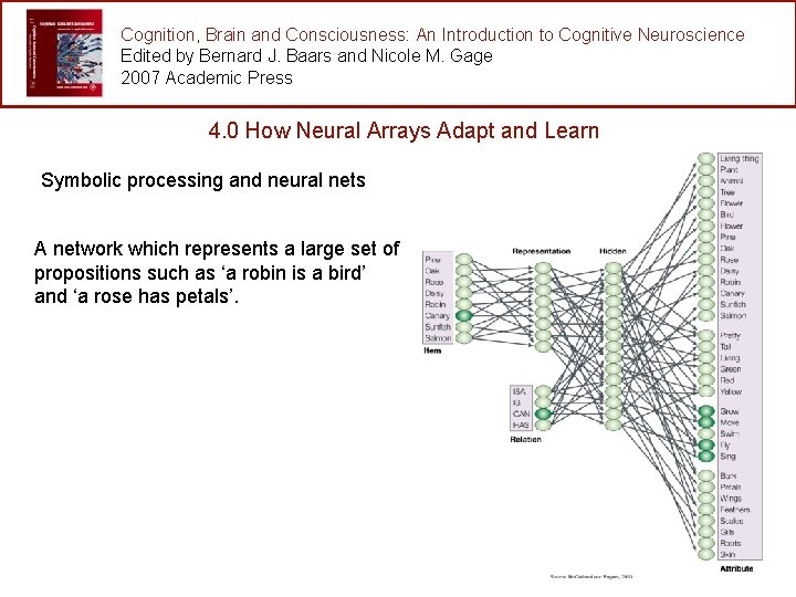 Cognition, Brain and Consciousness: An Introduction to Cognitive Neuroscience Edited by Bernard J. Baars