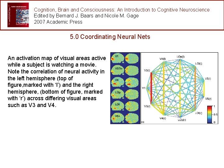 Cognition, Brain and Consciousness: An Introduction to Cognitive Neuroscience Edited by Bernard J. Baars