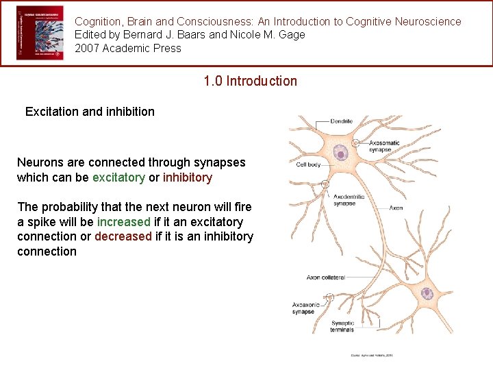 Cognition, Brain and Consciousness: An Introduction to Cognitive Neuroscience Edited by Bernard J. Baars