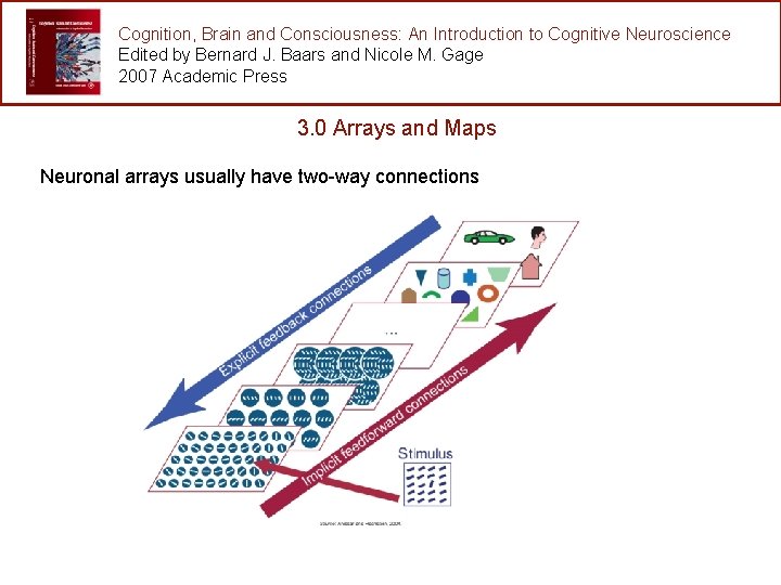 Cognition, Brain and Consciousness: An Introduction to Cognitive Neuroscience Edited by Bernard J. Baars