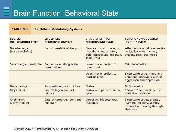 Brain Function: Behavioral State Copyright © 2007 Pearson Education, Inc. , publishing as Benjamin