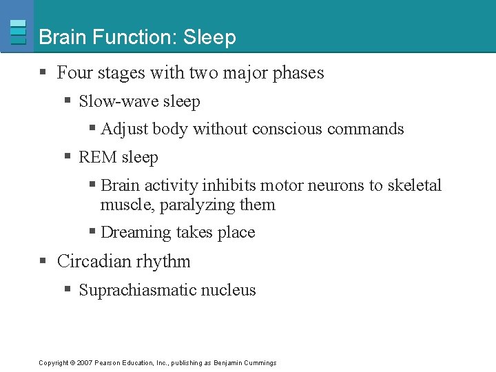 Brain Function: Sleep § Four stages with two major phases § Slow-wave sleep §