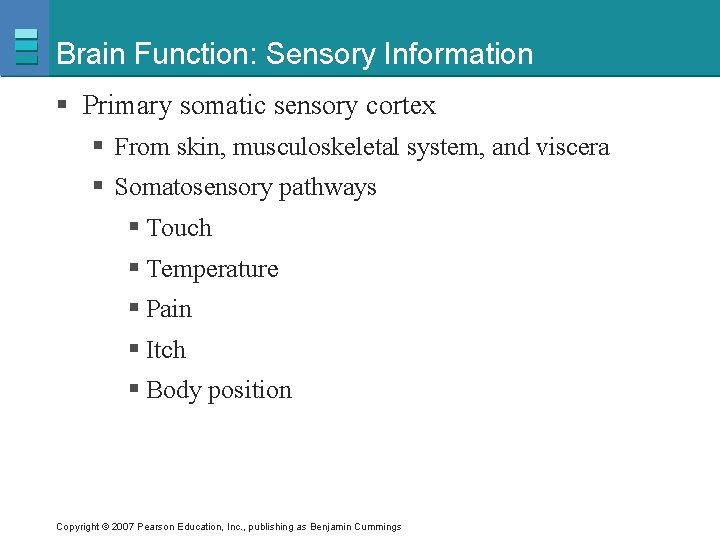 Brain Function: Sensory Information § Primary somatic sensory cortex § From skin, musculoskeletal system,