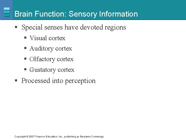 Brain Function: Sensory Information § Special senses have devoted regions § Visual cortex §