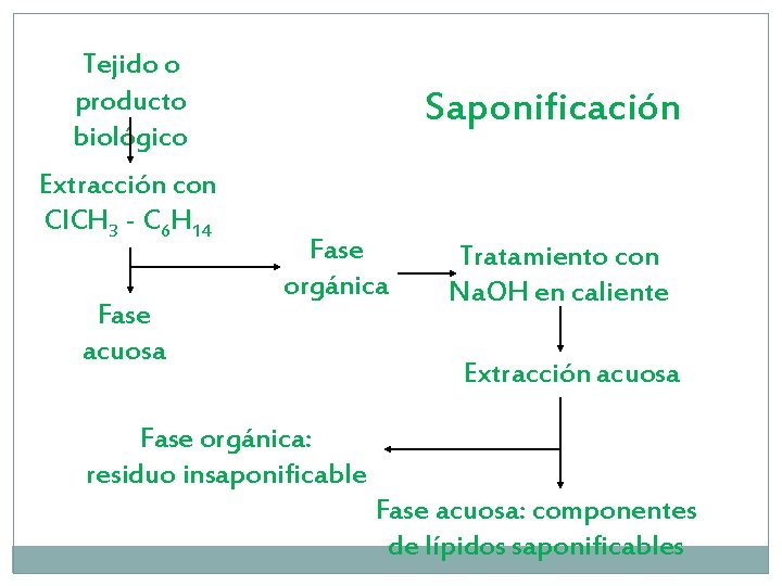 Tejido o producto biológico Extracción con Cl. CH 3 - C 6 H 14